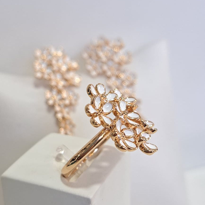 Conjunto Especial Margaridas